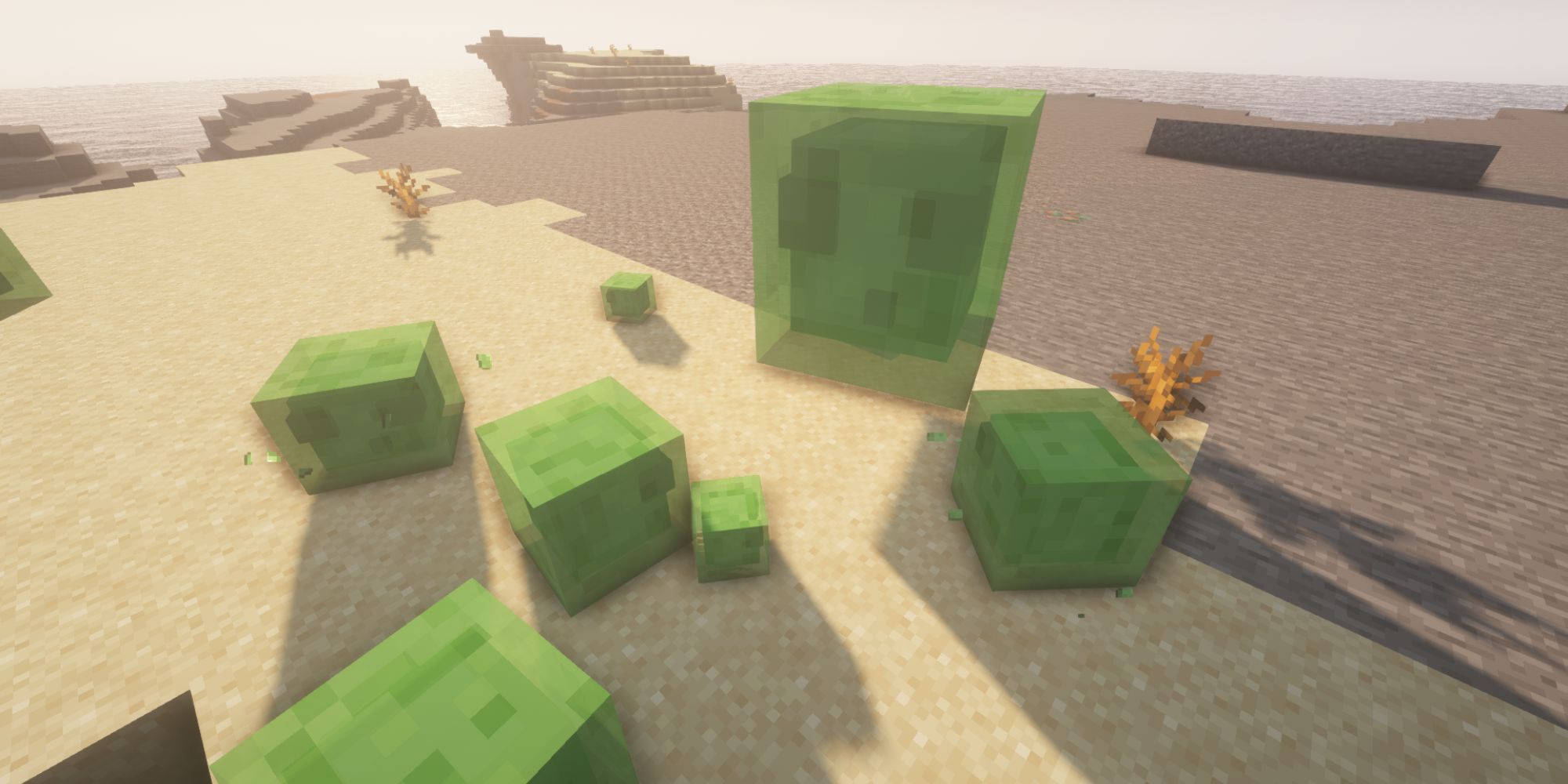 Minecraft Slimes In The Desert Biome