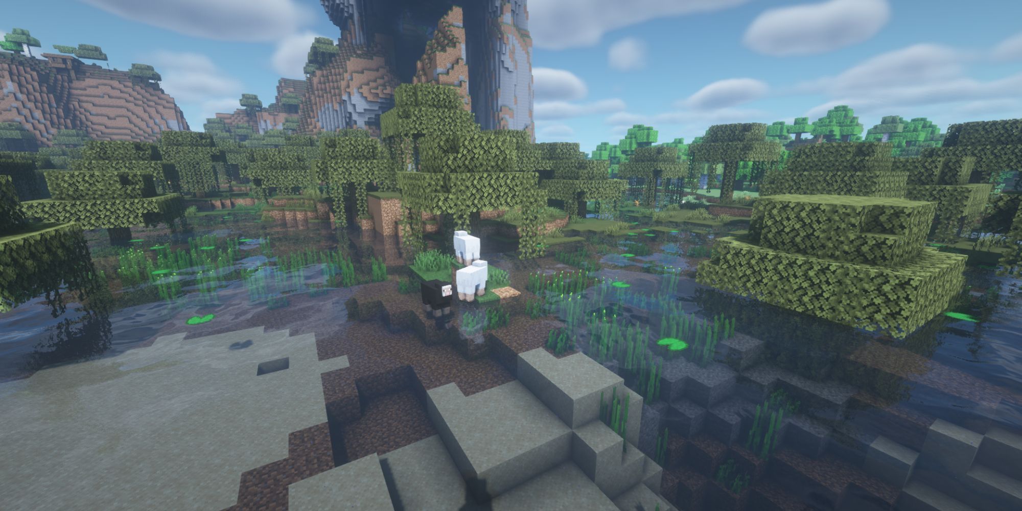 Minecraft Swamp Biome