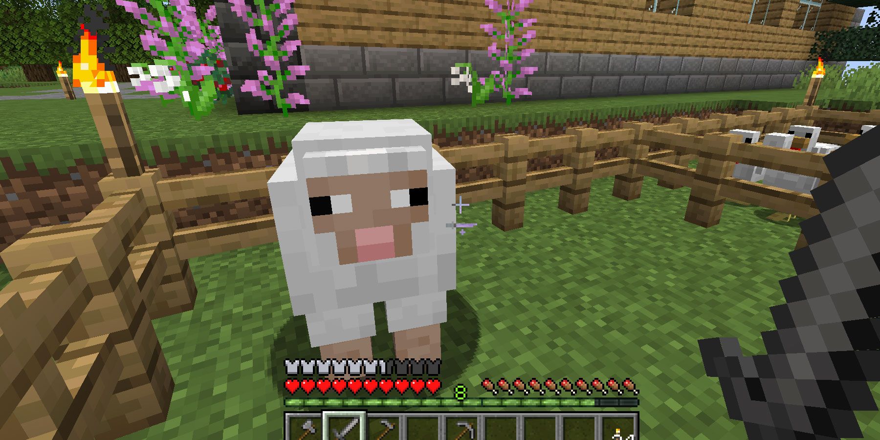 Minecraft-sheep-in-pen-outside