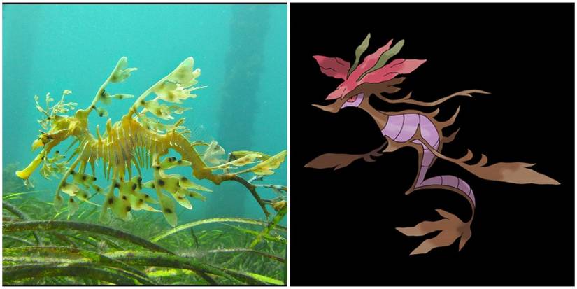 Split image of seadragon and Dragalge.