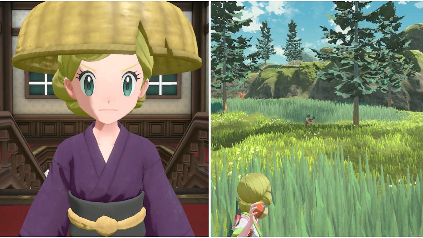 The main character and sneaking around in Pokemon Legends: Arceus