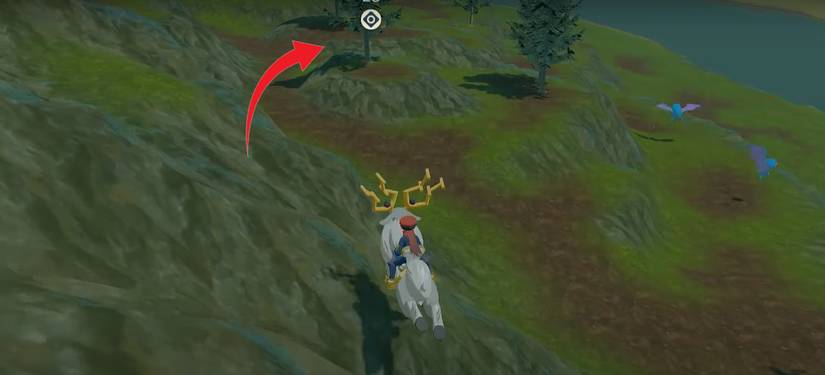 Pokemon Legends Arceus Chimchar Tree