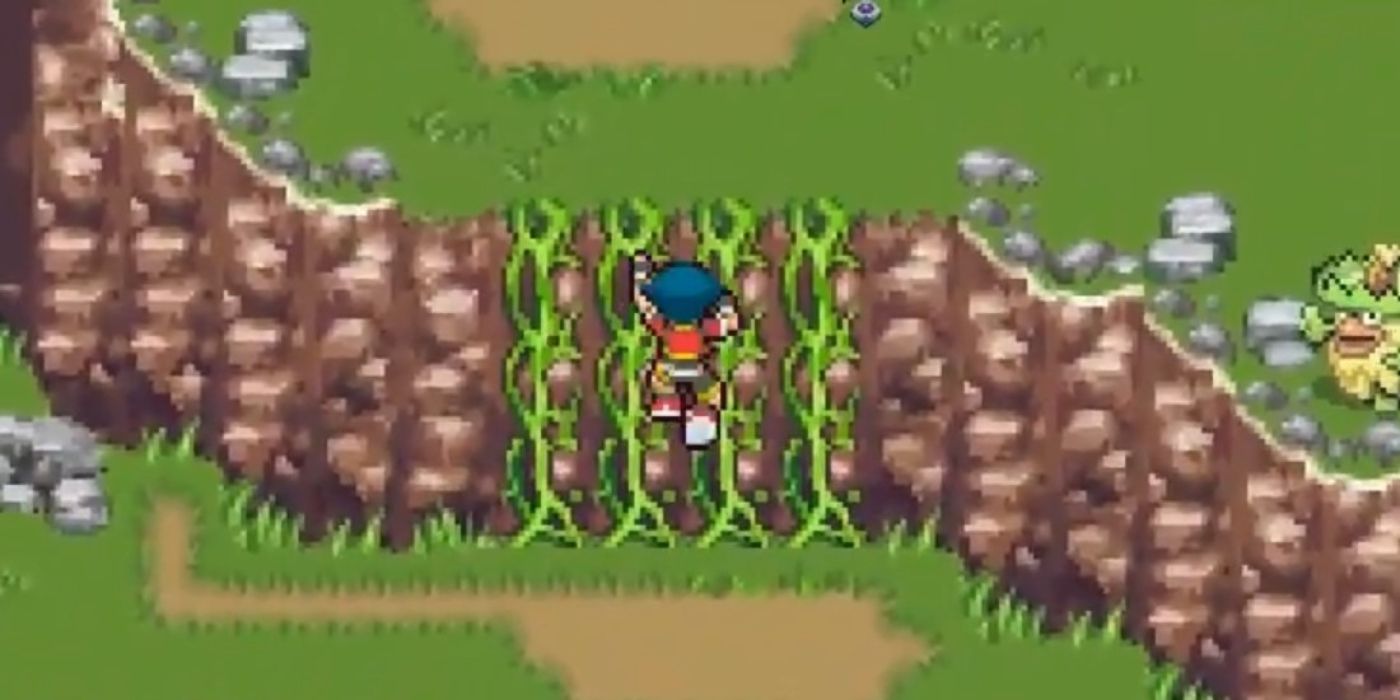 Pokemon Ranger the player character climbing a vine