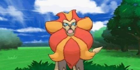 A Pyroar mid-battle in Pokemon X & Y
