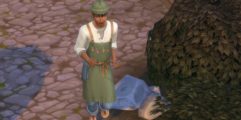 Rahul chopra in the Sims 4