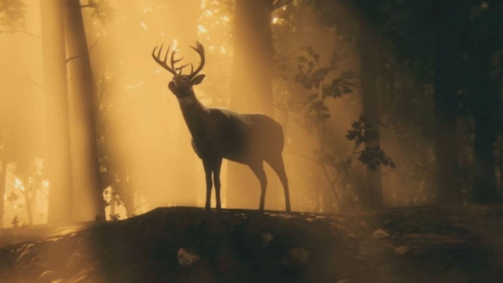 Red-Dead-Redemption-2-Deer_1800x900