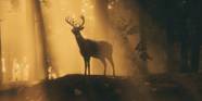 Red Dead Redemption 2 Player Finds Realistic And Surprisingly Brutal 
