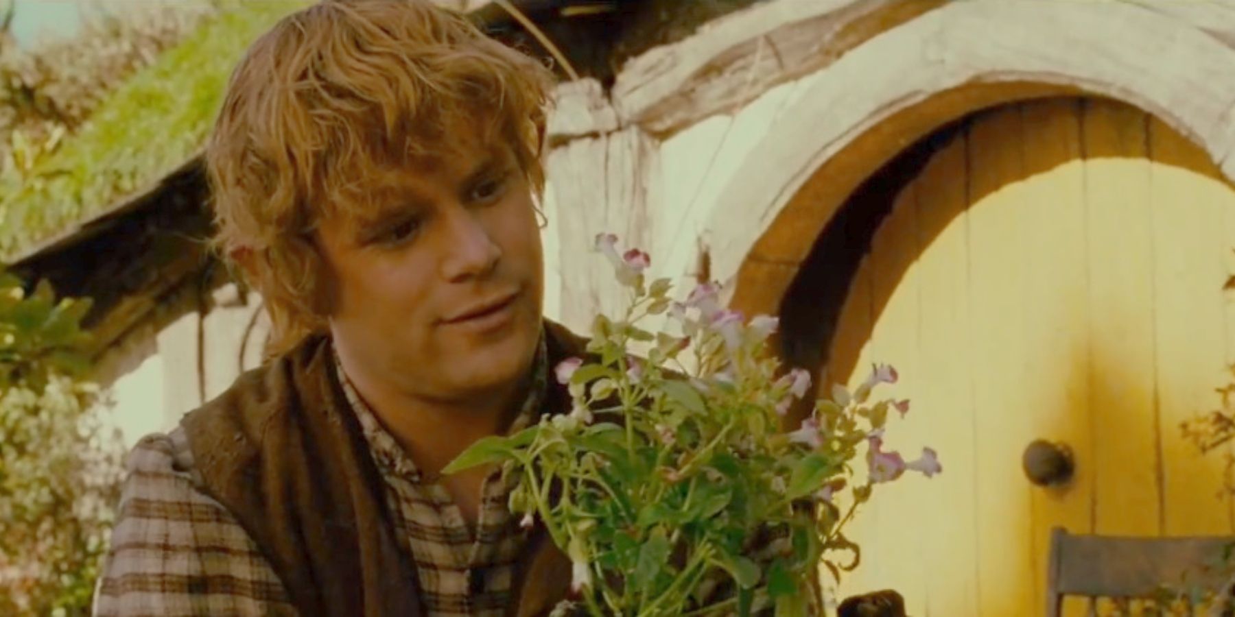 Sam in the Shire