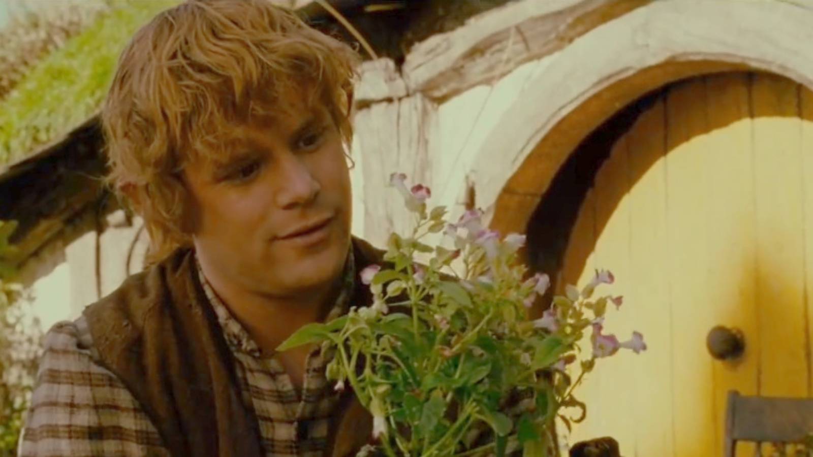 Sam in the Shire