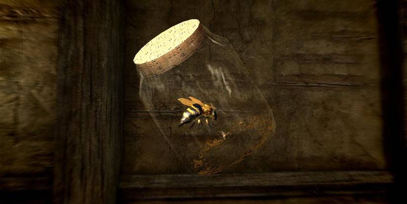 Skyrim Every Insect Jar Location Guide Bee In A Jar