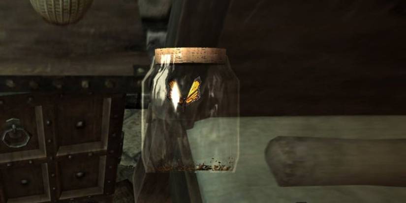 Skyrim Every Insect Jar Location Guide Butterfly In A Jar