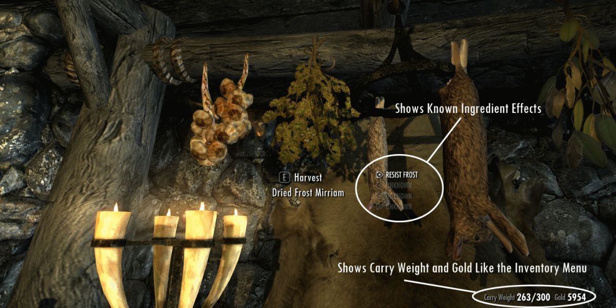 Skyrim Interface Mods MoreHUD