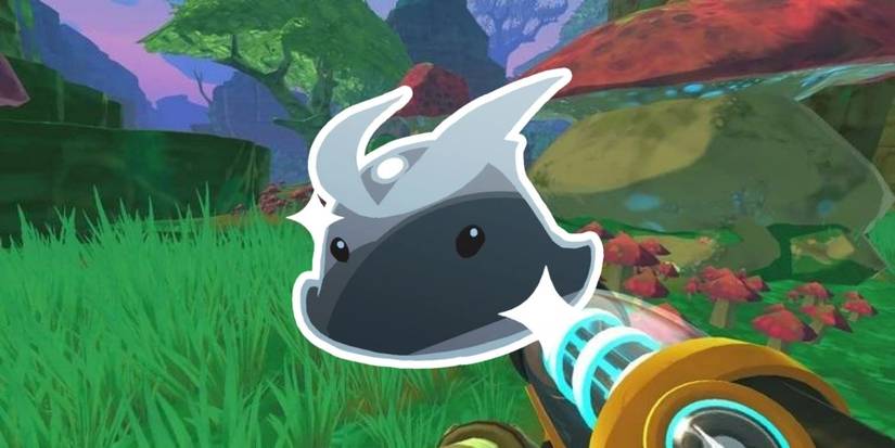 Slime Rancher best slimes Quicksilver Slime