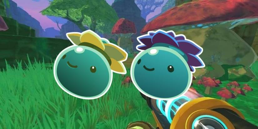 Slime Rancher best slimes Tangle Slime