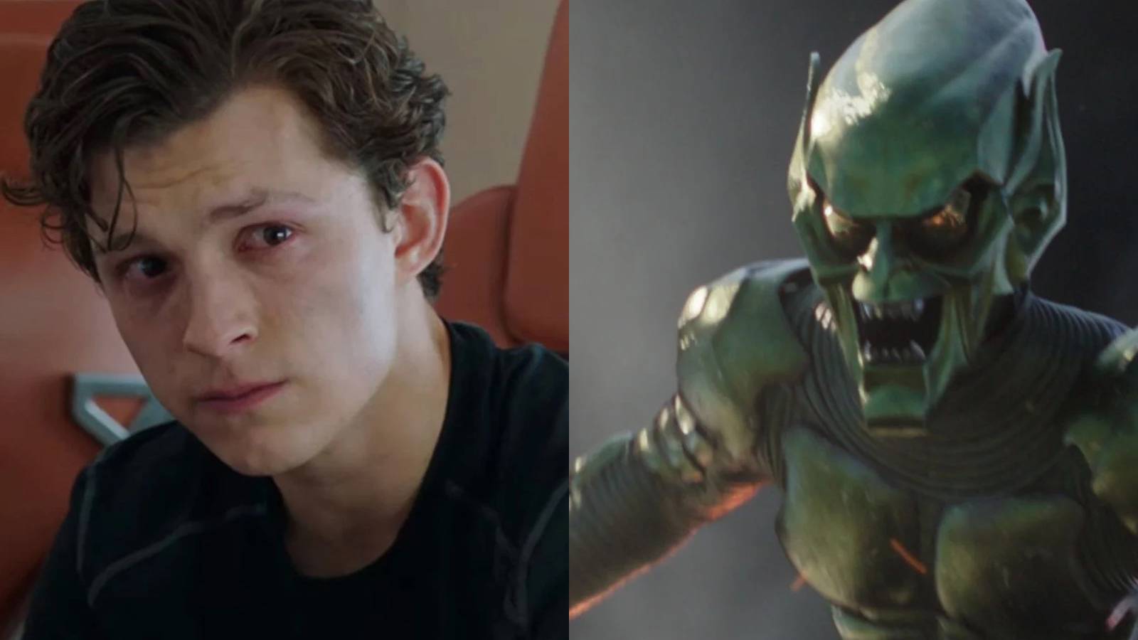 Spider-Man No Way Home Tom Holland Marisa Tomei Aunt May Death