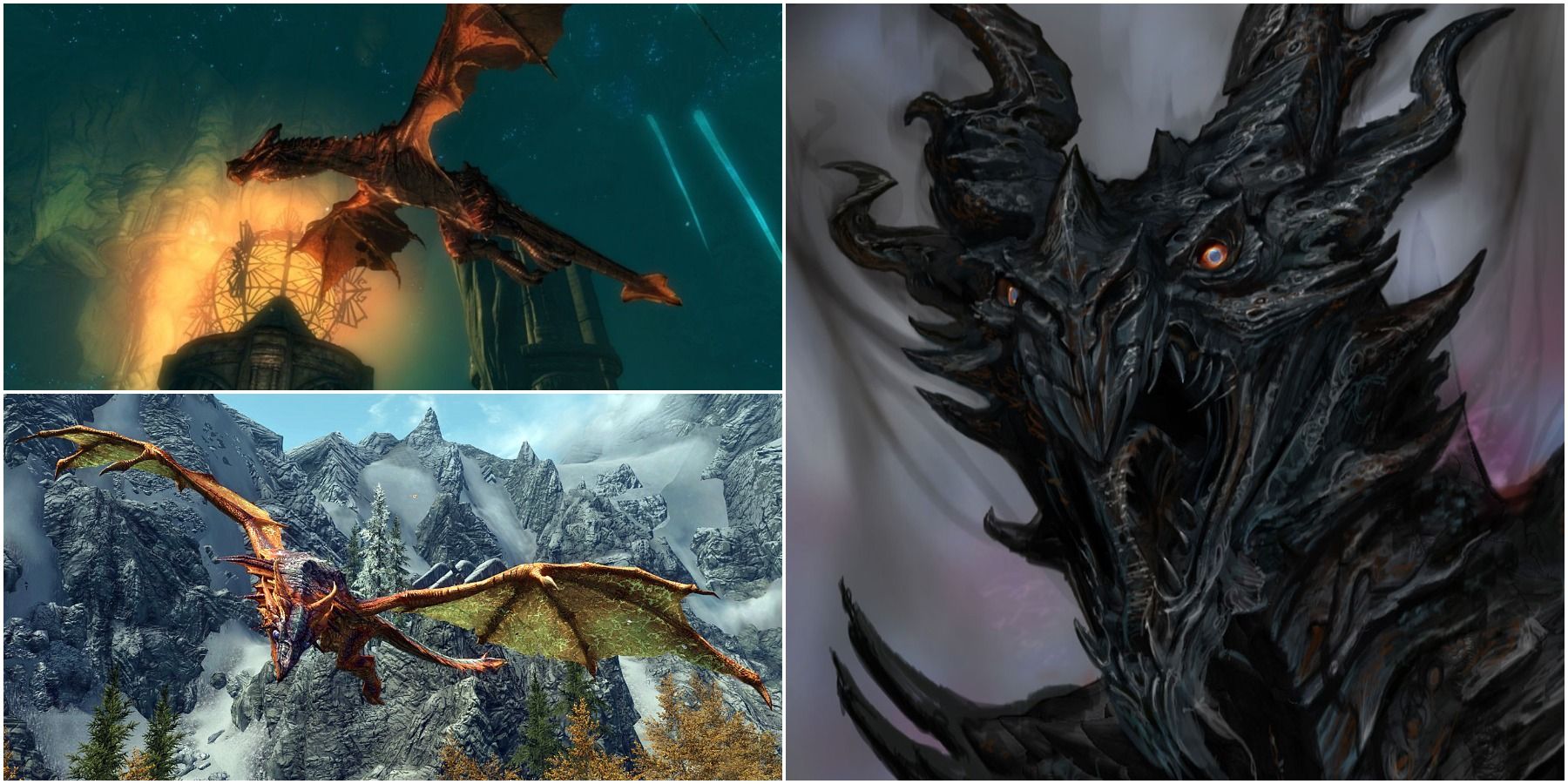 tromme hvid uddannelse Every Named Dragon In Skyrim & Their Stories