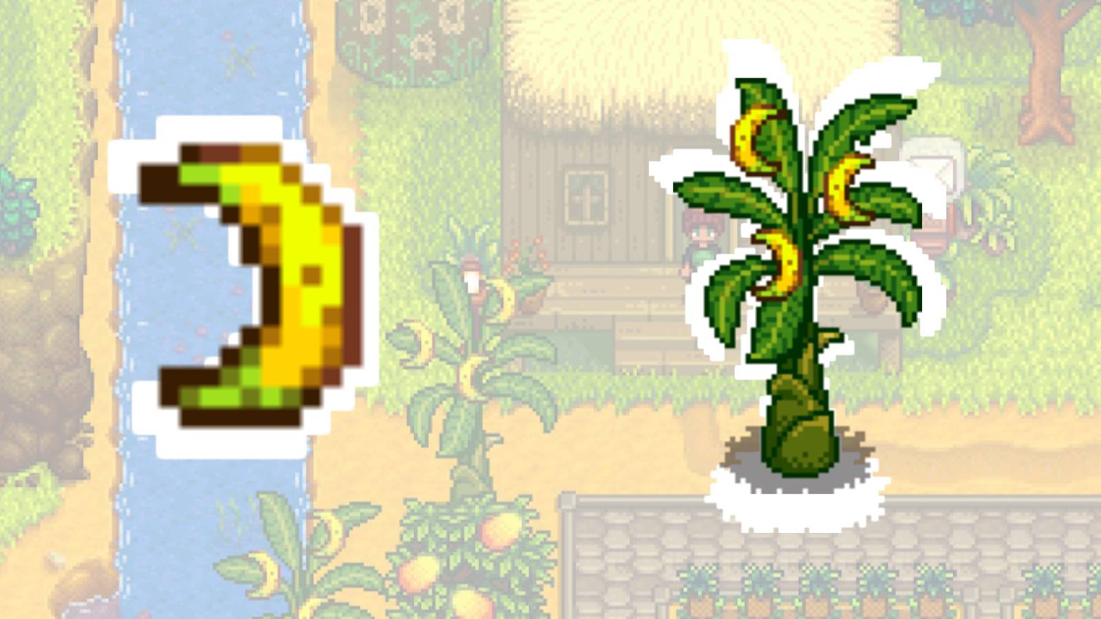 Stardew Valley Bananas