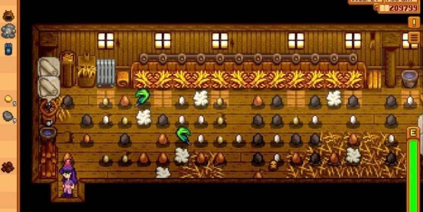 Stardew Valley Coop Filled With Eggs