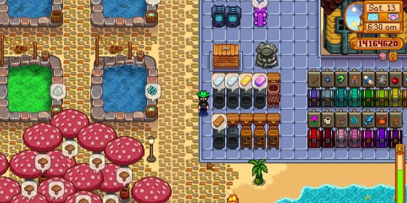 Stardew Valley Hopper