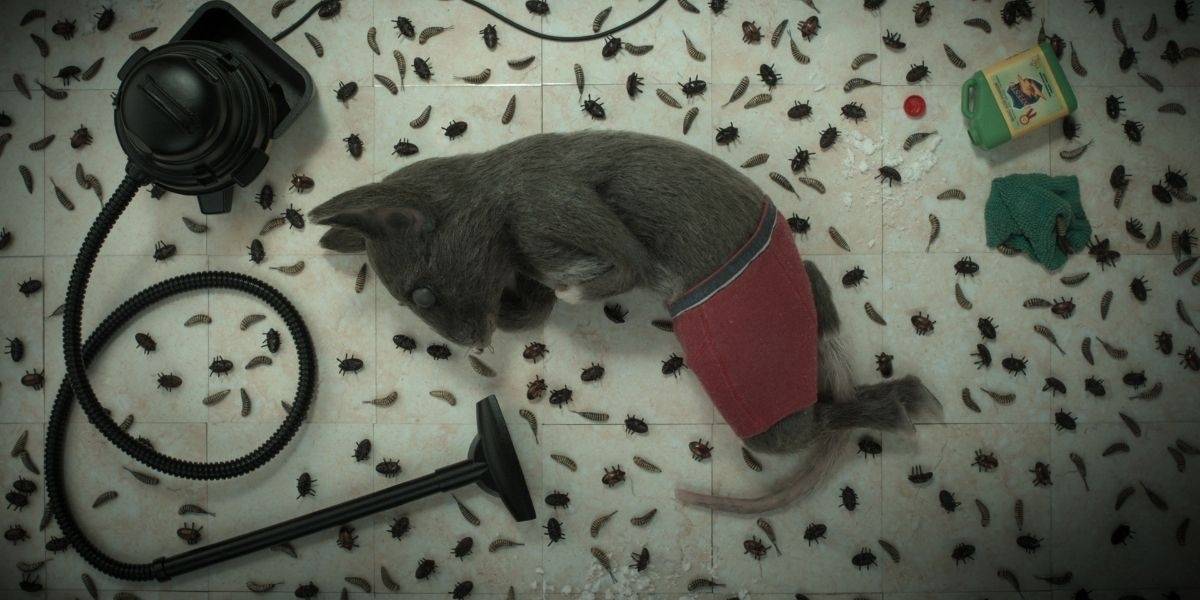 The-House-Story-2 Cropped