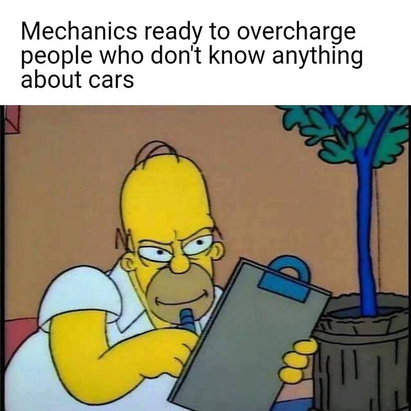 The Simpsons Homer meme