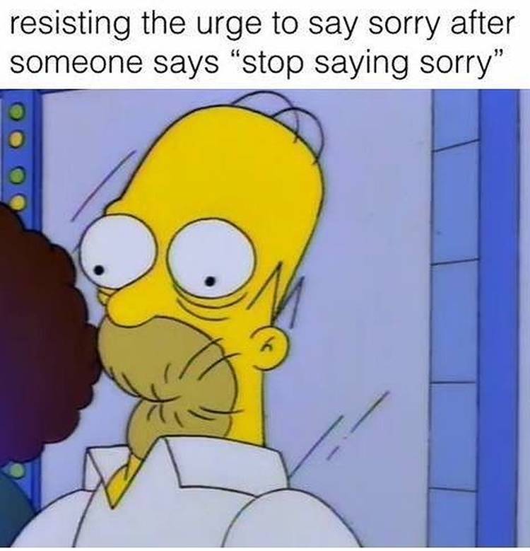 The Simpsons Homer meme