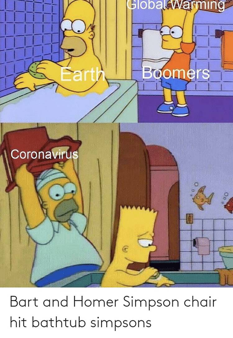 The Simpsons Homer meme