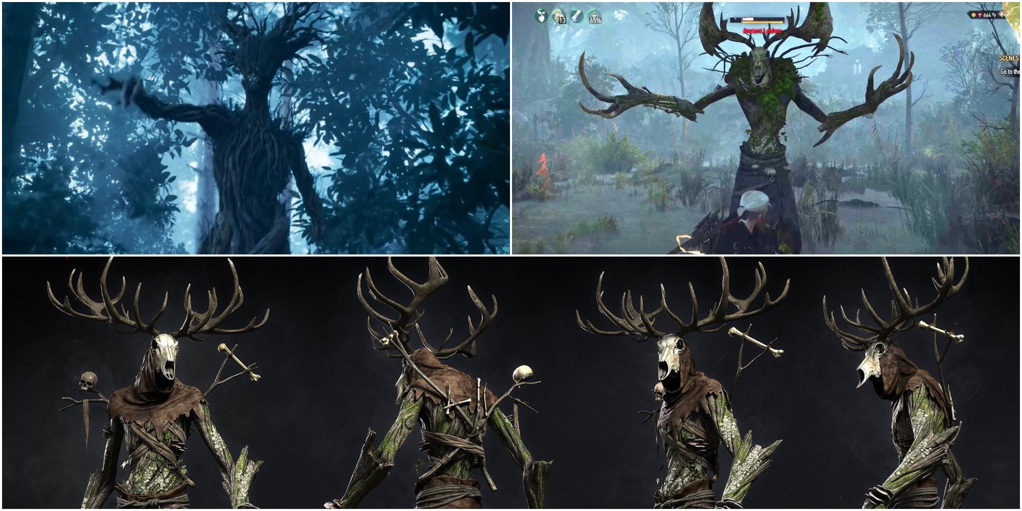 The Witcher: Facts About Leshy