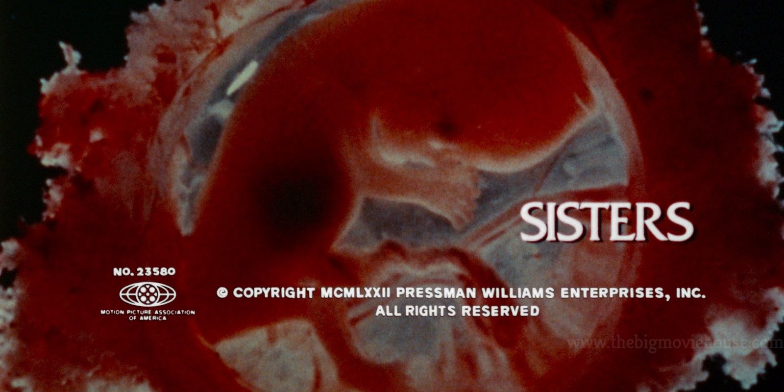 The opening shot of Sisters