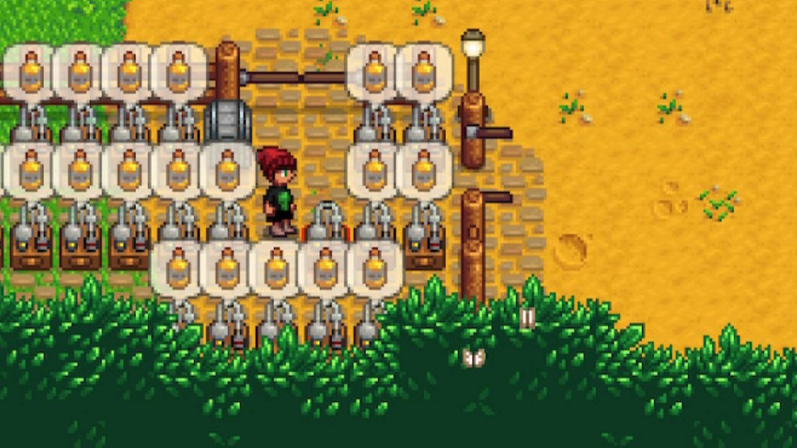 A farmer beside rows of Oil Makers producing Truffle Oil in Stardew Valley