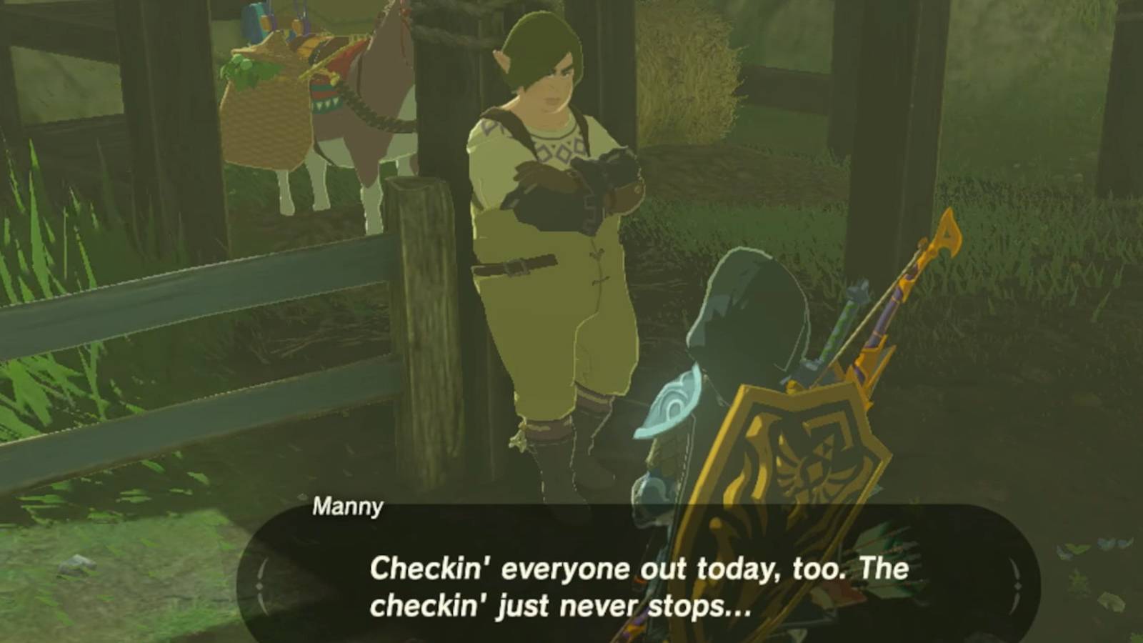 Zelda-Breath-Wild-Gift-For-My-Beloved-3