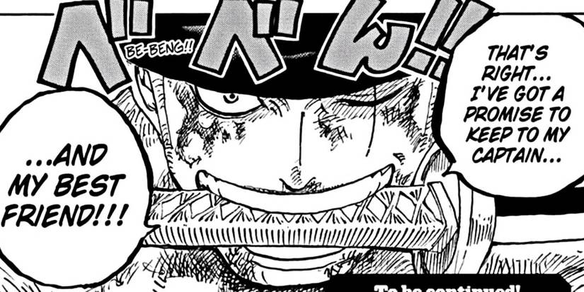 Zoro admiral level one piece