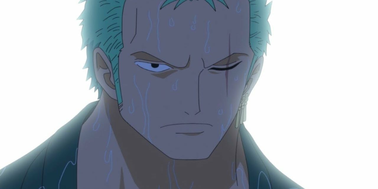 One Piece Zoro after time-skip