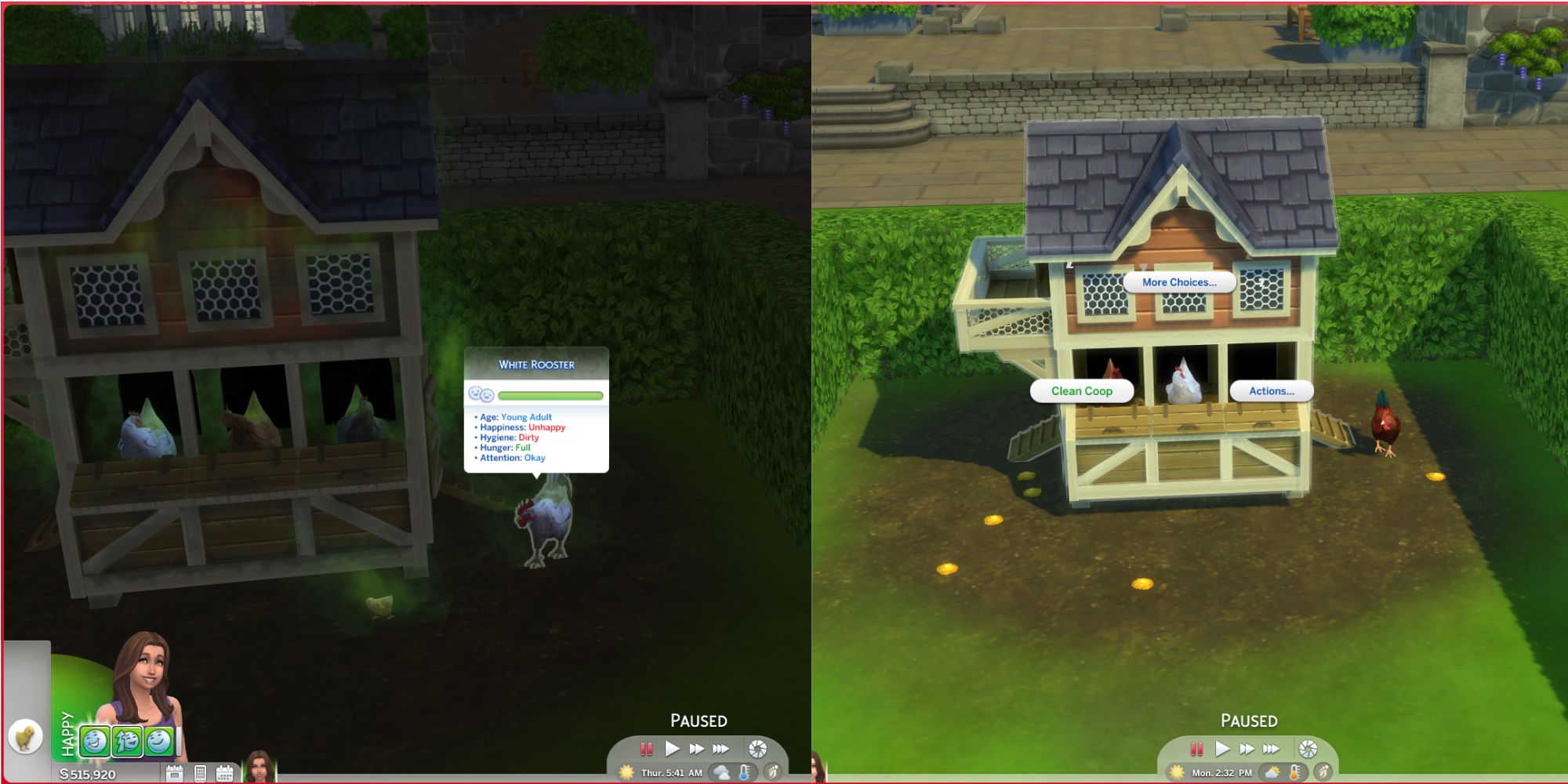 a filthy coop and chickens and the option to clean the coop in the sims 4