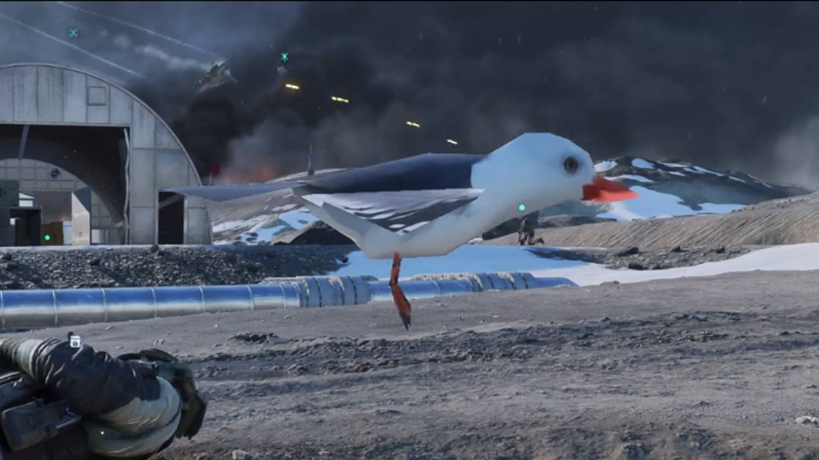 battlefield 2042 seagull