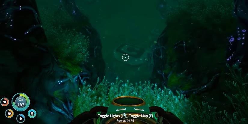 Marguerit Maida's base