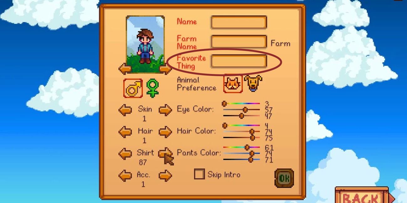 Stardew's character creator with favorite thing circled