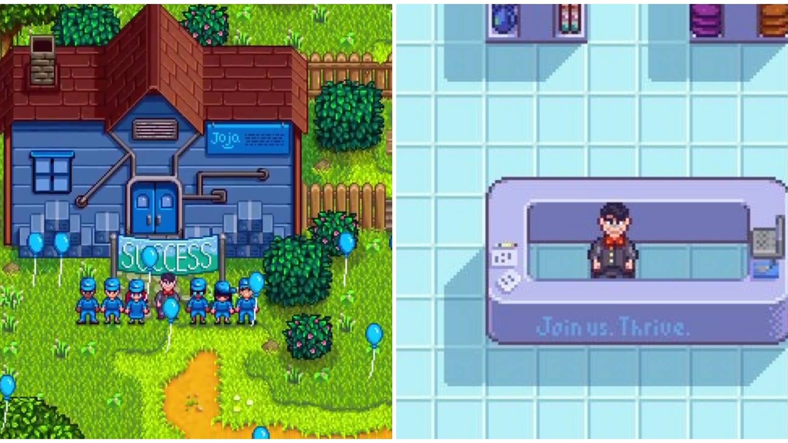 Turli xil turdagi ayollar mushuklarining fotosuratlari