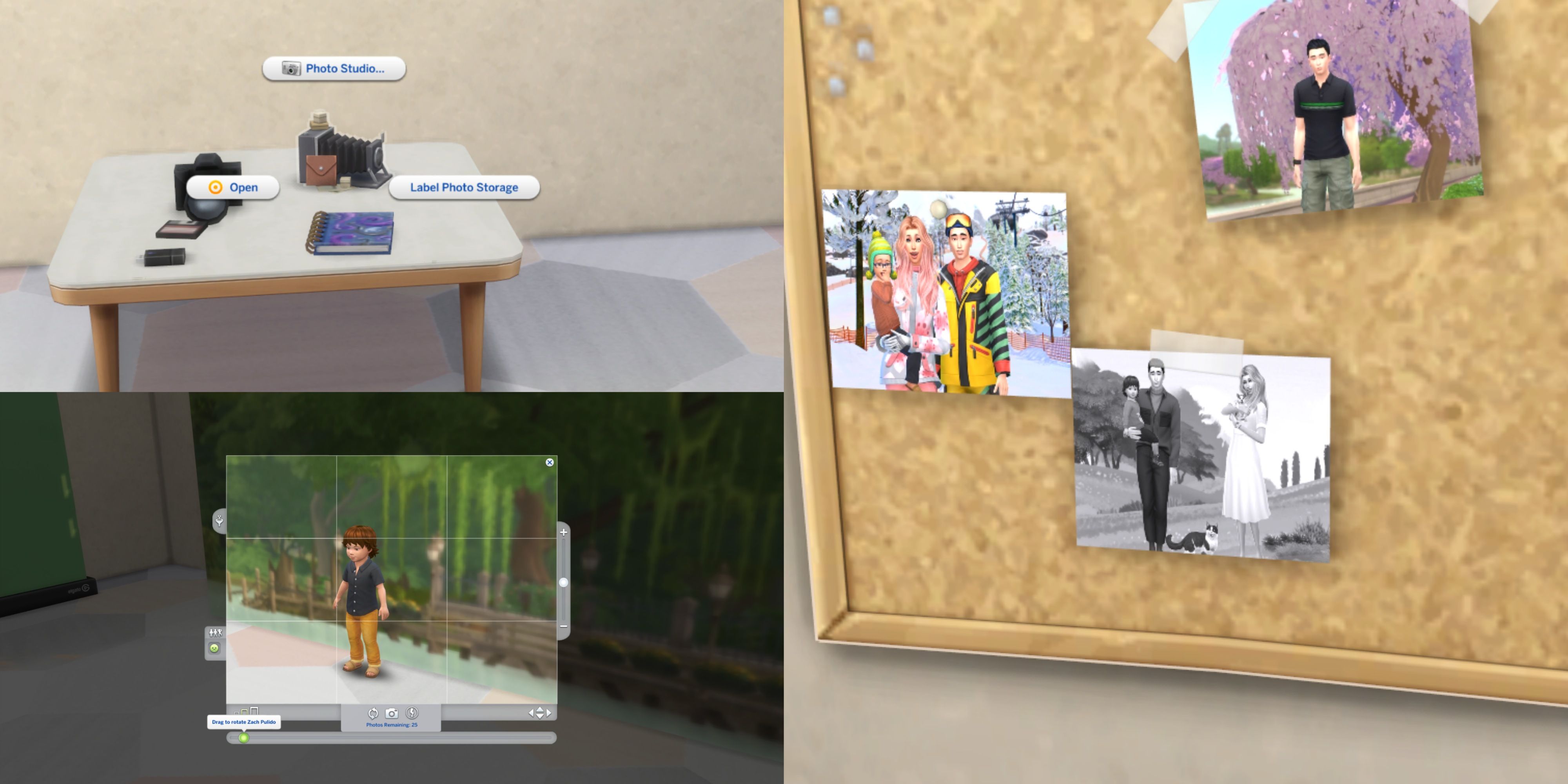 Essential The Sims 4 Mods For Taking In-Game Photos