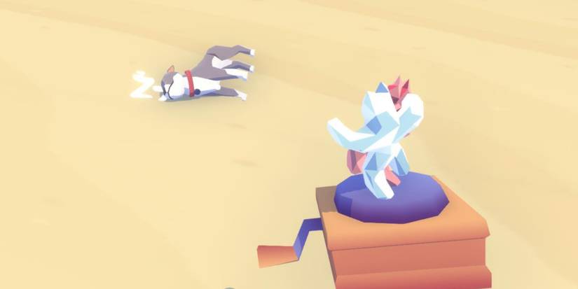 dog sleeping on the beach