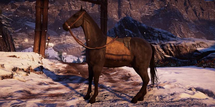 eivor-facts-trivia-assassins-creed-valhalla-horse