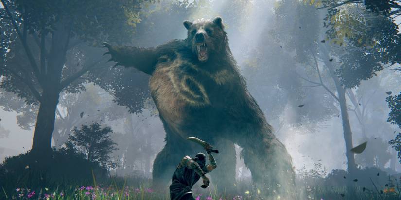 elden-ring-enemy-bear