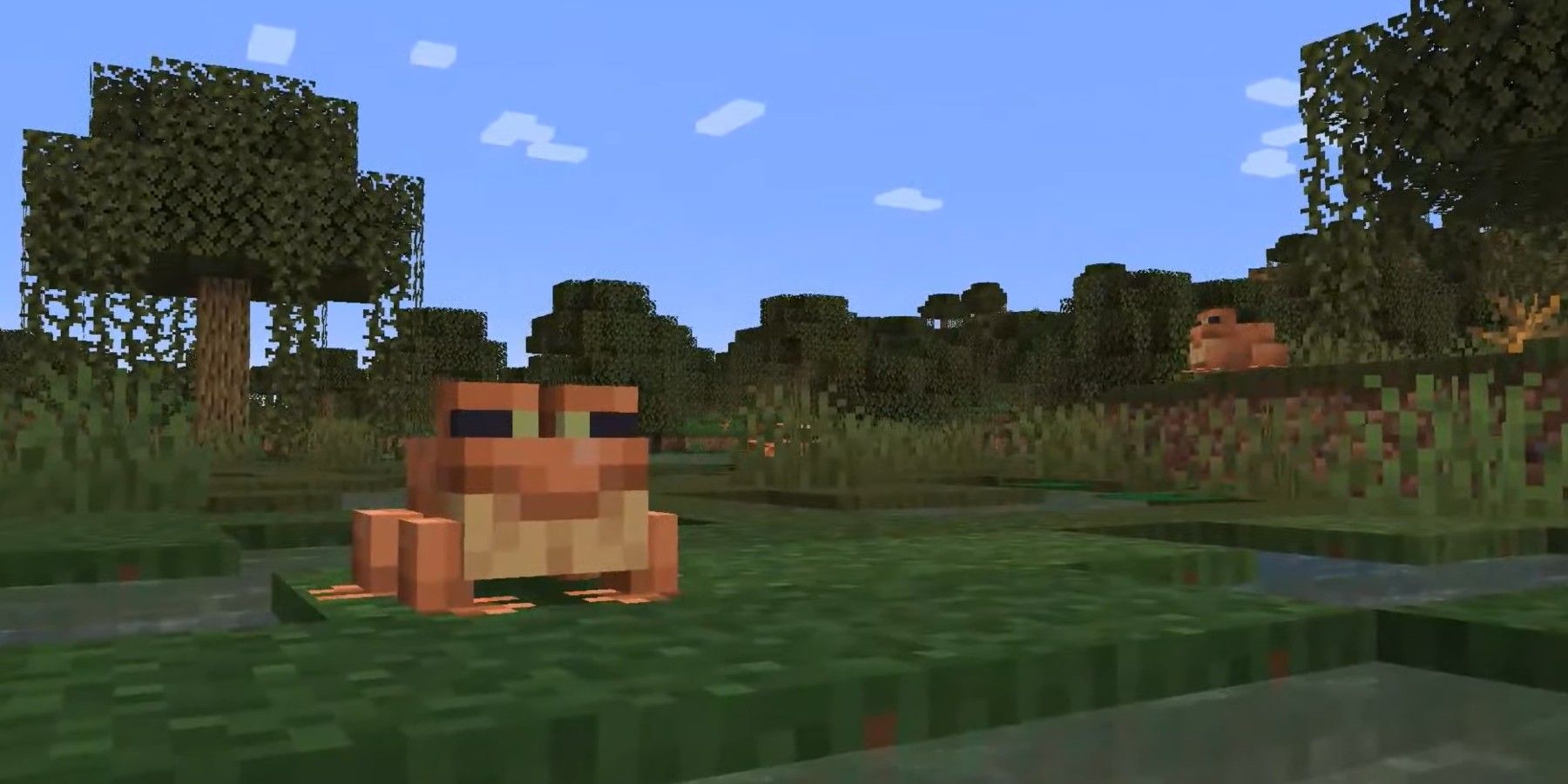 Minecraft Player Makes Shocking Discovery About What Frogs Eat