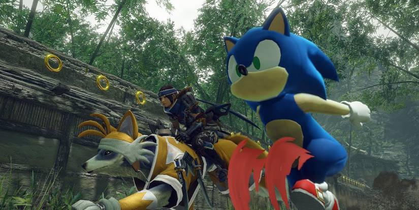 gotta hoard fasster sonic the hedgehog