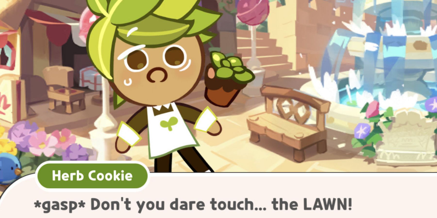 herb-cookie-offended-over-the-lawn