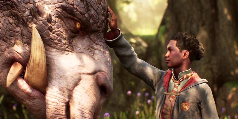 hogwarts legacy creature head pat feature