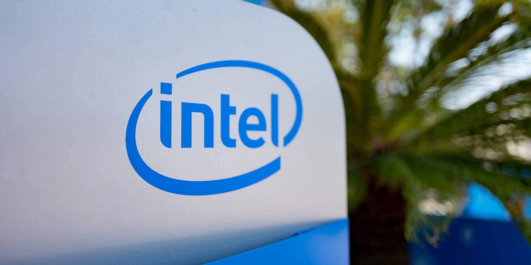 The Intel logo with a palm tree in the background.