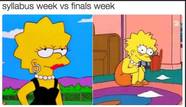 The Simpsons Hilarious Lisa Memes
