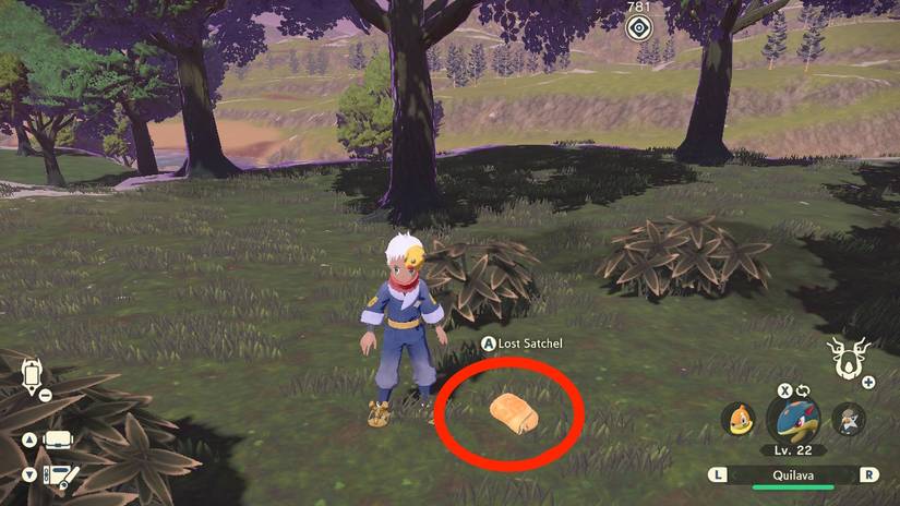 lost satchel pokemon legends arceus fieldlands