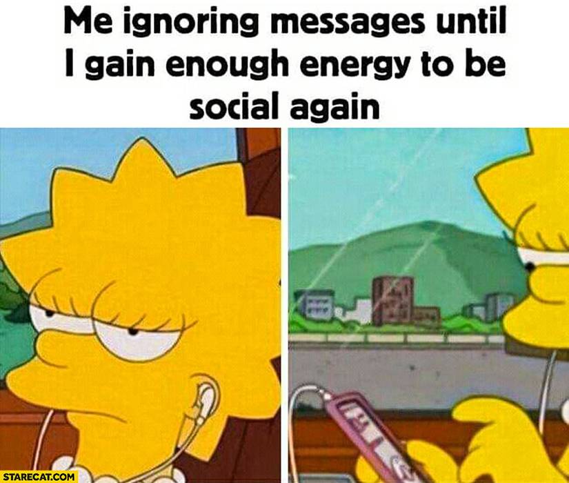 The Simpsons Lisa meme